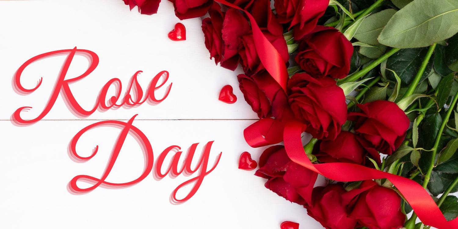 Rose Day 2023: The beauty of a rose lies not just in its petals, but in the thorns that protect it.