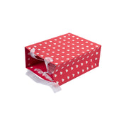 Medium Valentine Gift Bags