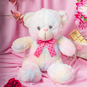 Rainbow Teddy Bear Valentine Gift