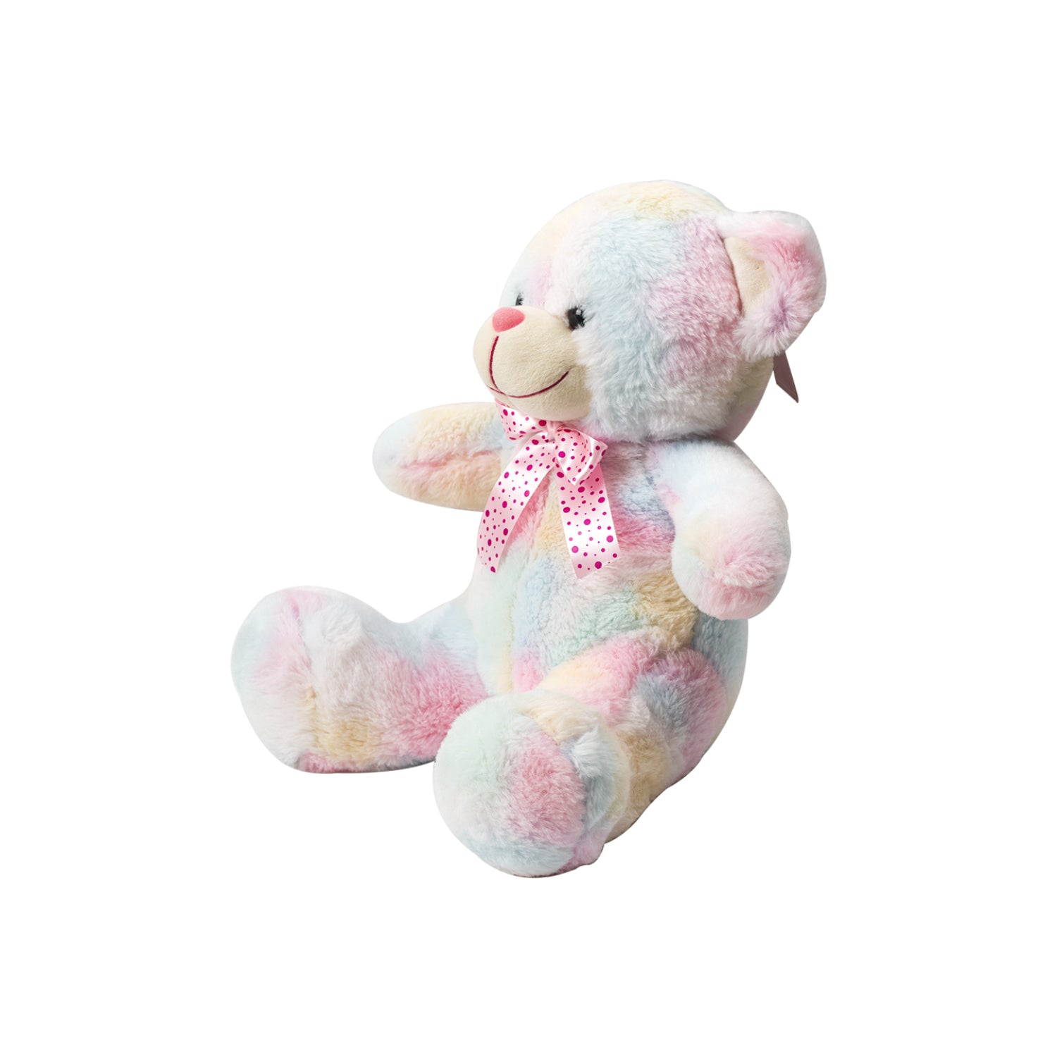 Rainbow Teddy Bear Valentine Gift