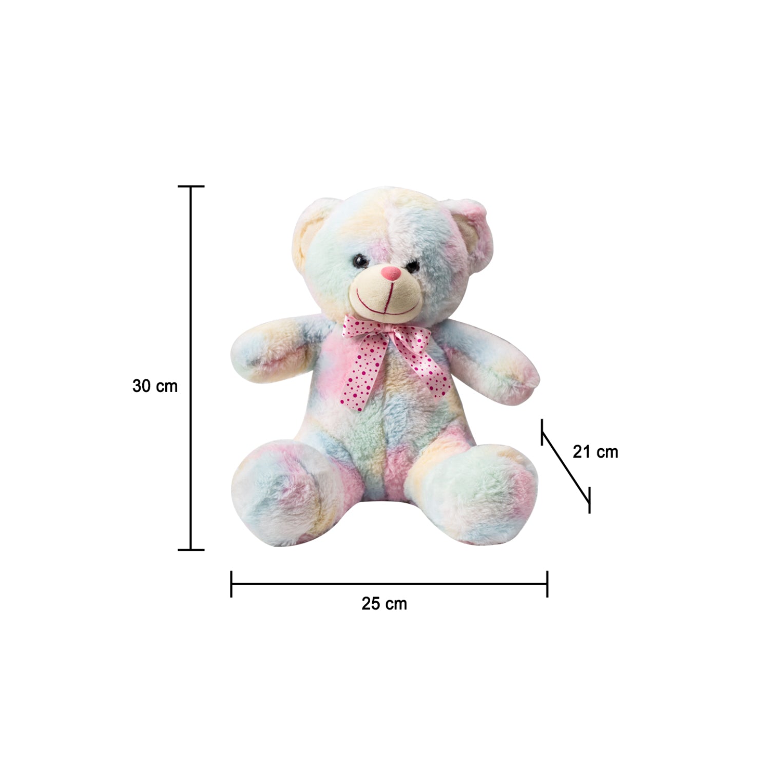 Rainbow Teddy Bear Valentine Gift