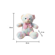 Rainbow Teddy Bear Valentine Gift