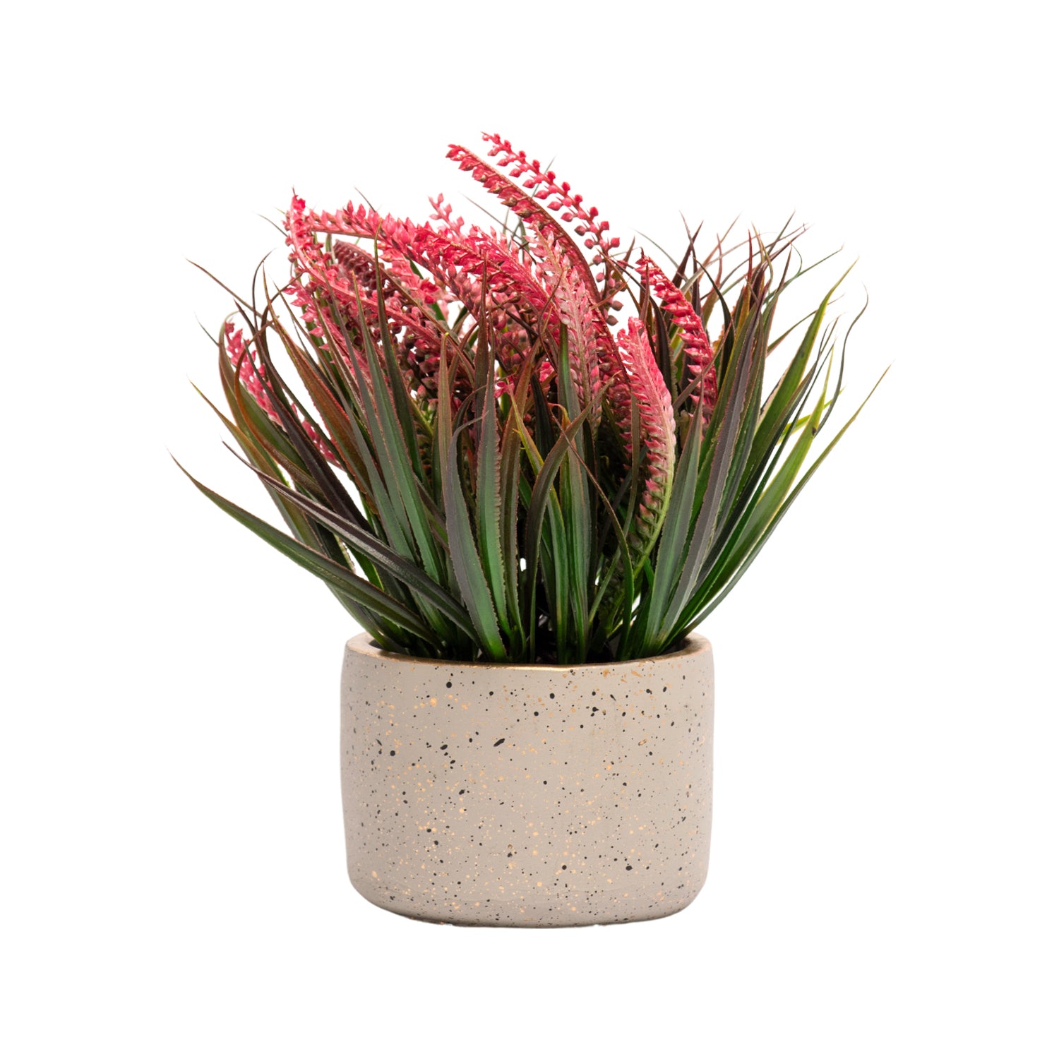Grey Pot With Pink & Green Plant