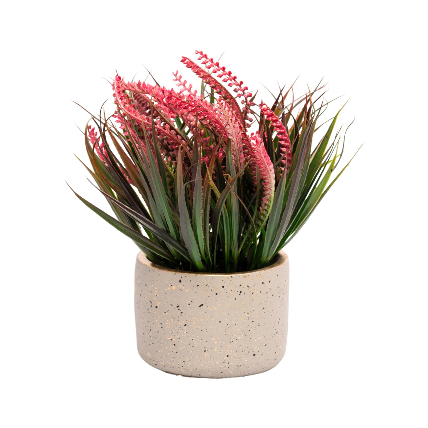 Grey Pot With Pink & Green Plant