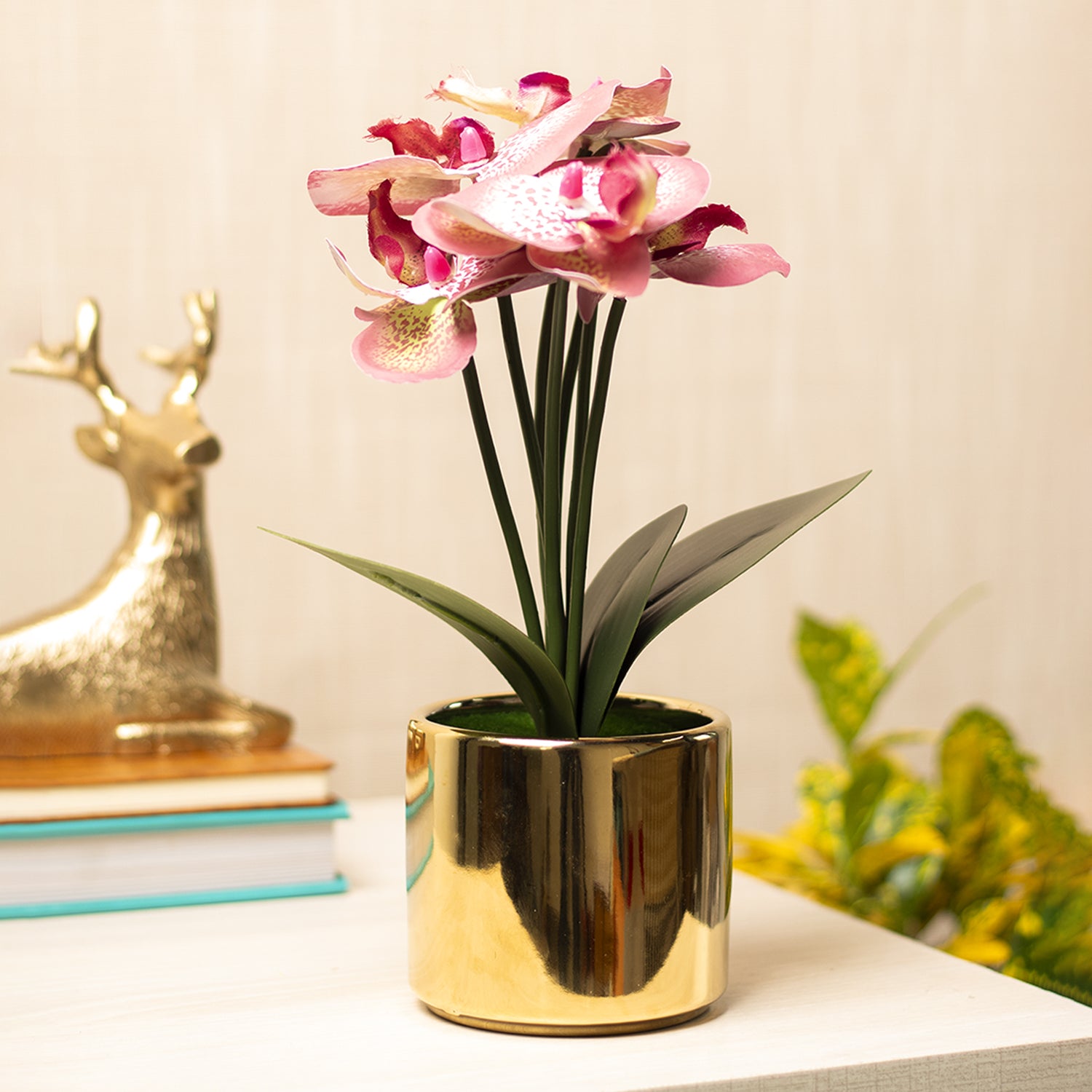 Pink Orchid With  Golden Pot