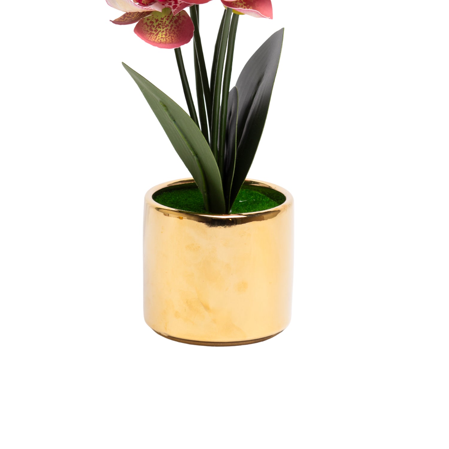 Pink Orchid With  Golden Pot