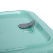Borosilicate Food Containers (Pack of 2 - 340ml & 570ml) Green Lid