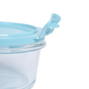 Borosilicate Food Containers (Pack of 2 - 410ml & 570ml) Blue Lid