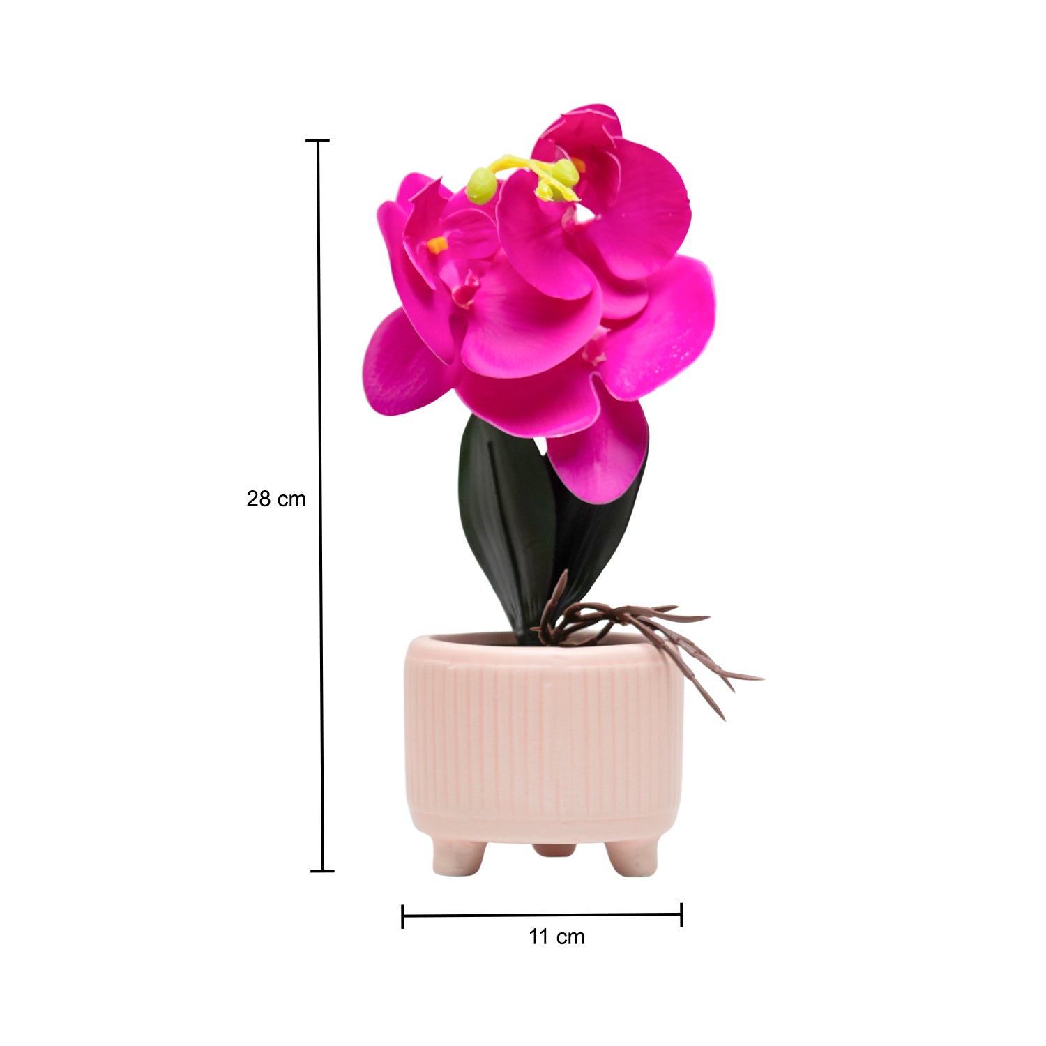 Purple Orchid With Ceramic Light Pink Pot