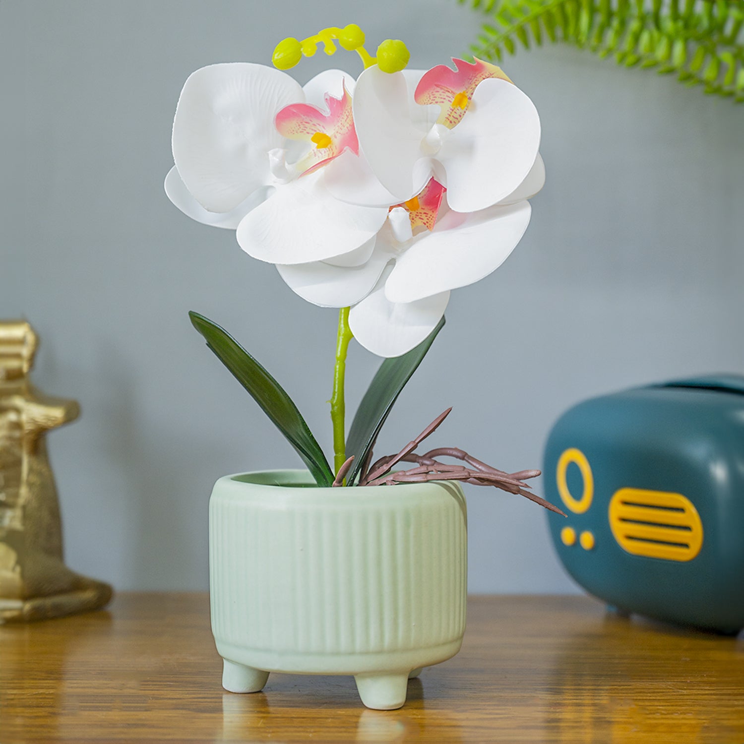 White Orchid Flowers With White Tumbler Pot