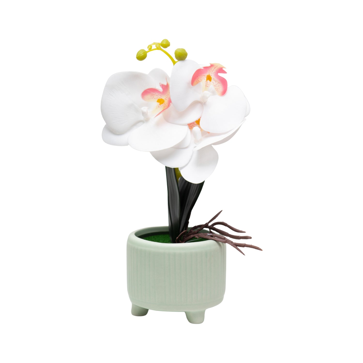 White Orchid Flowers With White Tumbler Pot