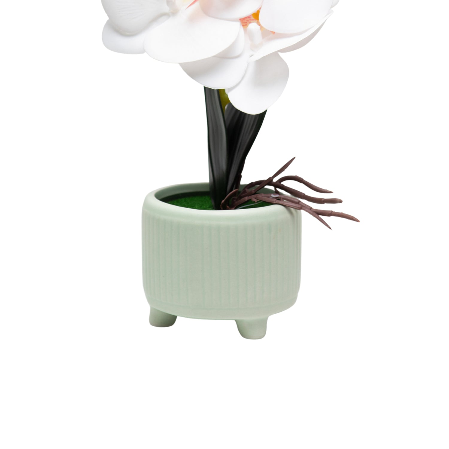 White Orchid Flowers With White Tumbler Pot