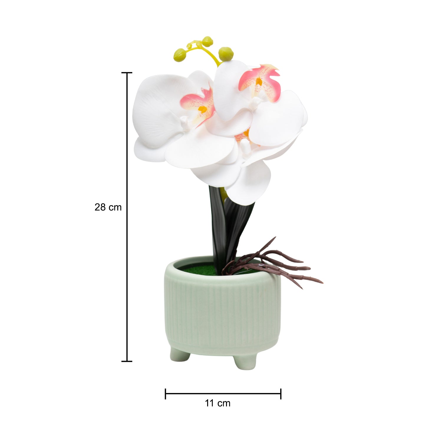 White Orchid Flowers With White Tumbler Pot