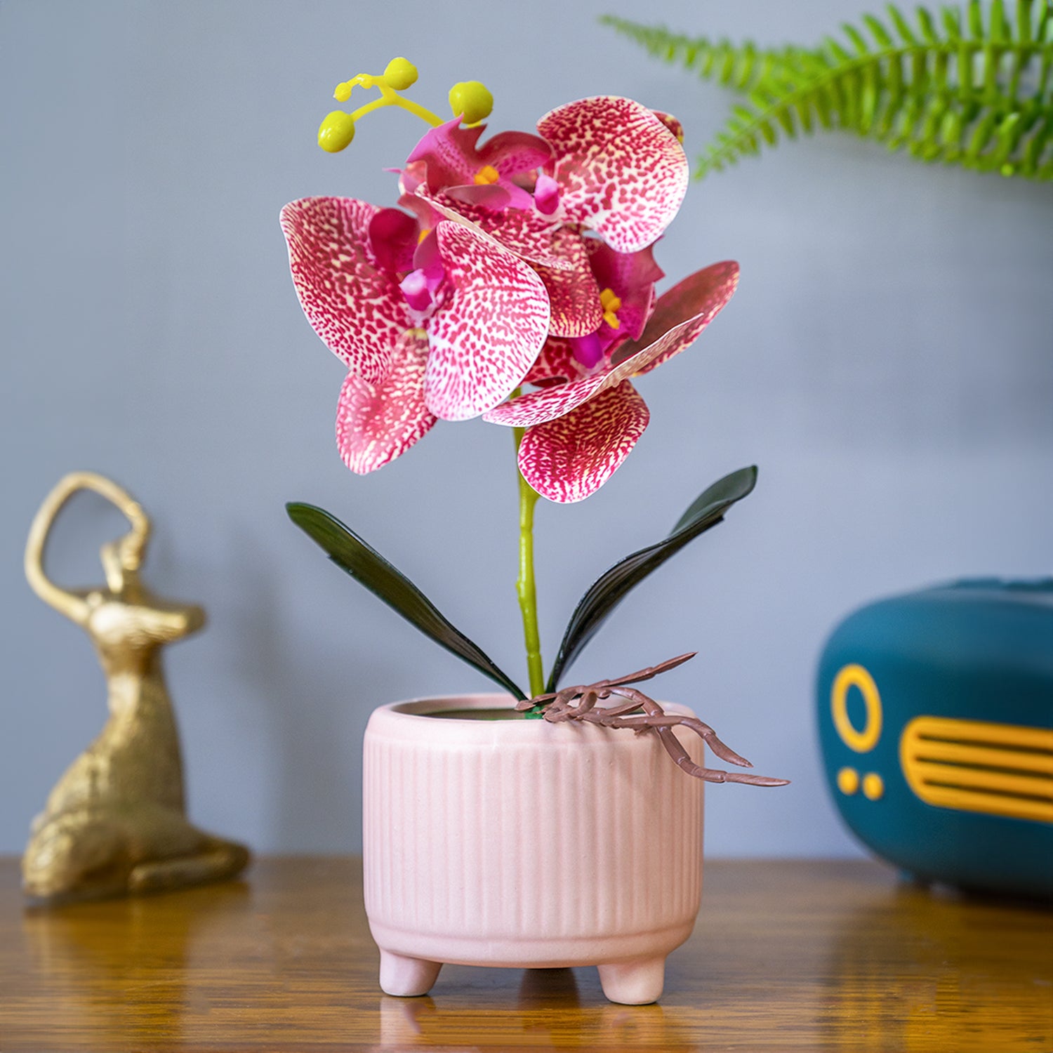 Orchid Flowers With Lightgreen Pot