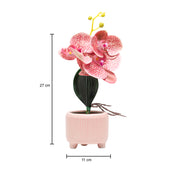 Orchid Flowers With Lightgreen Pot