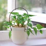 Plastic Flower Pot For Indoor & Outdoor