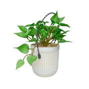 Plastic Flower Pot For Indoor & Outdoor