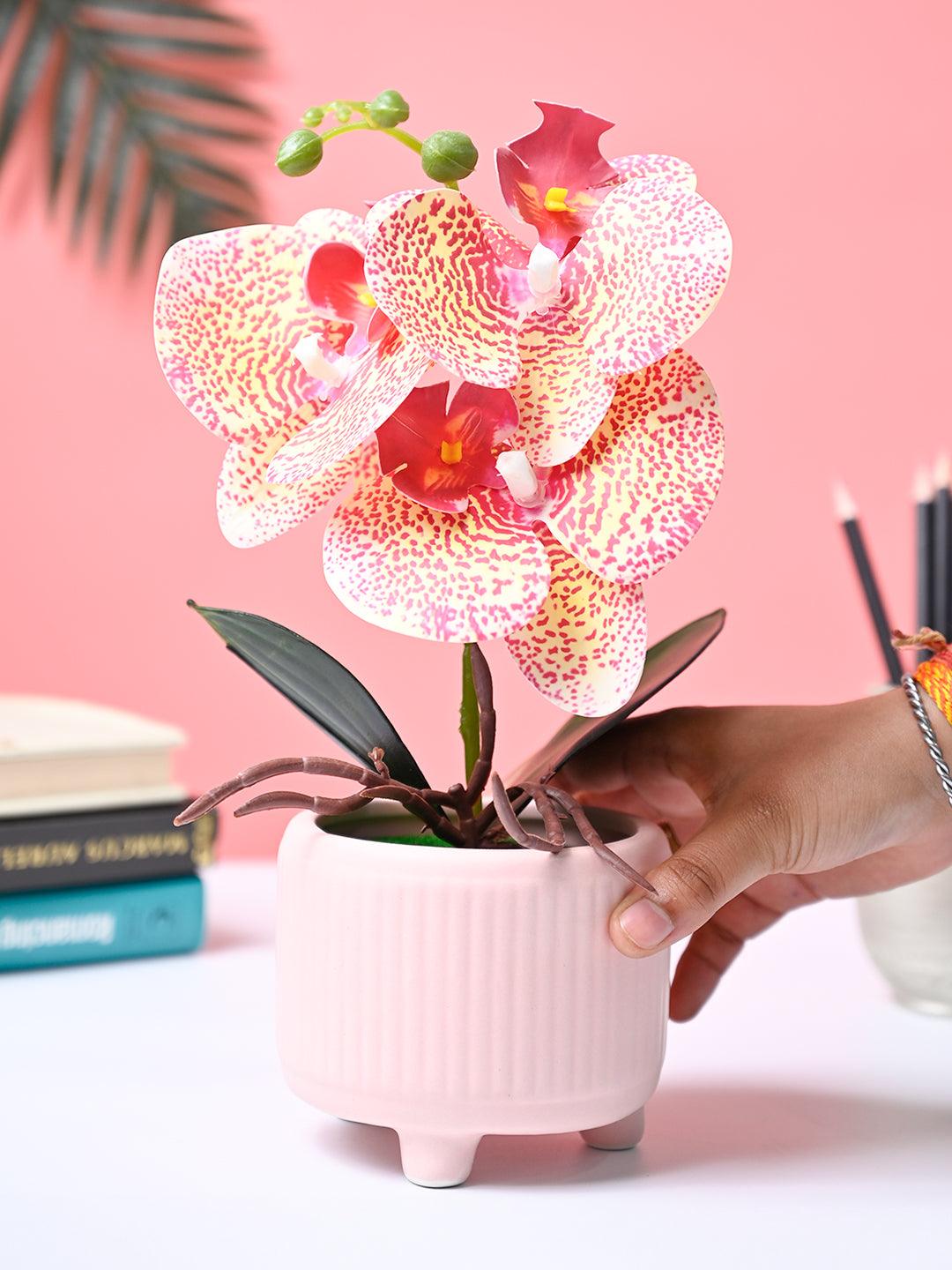 Market99 Pink Artificial Orchid Flower With Pink Pot - MARKET99
