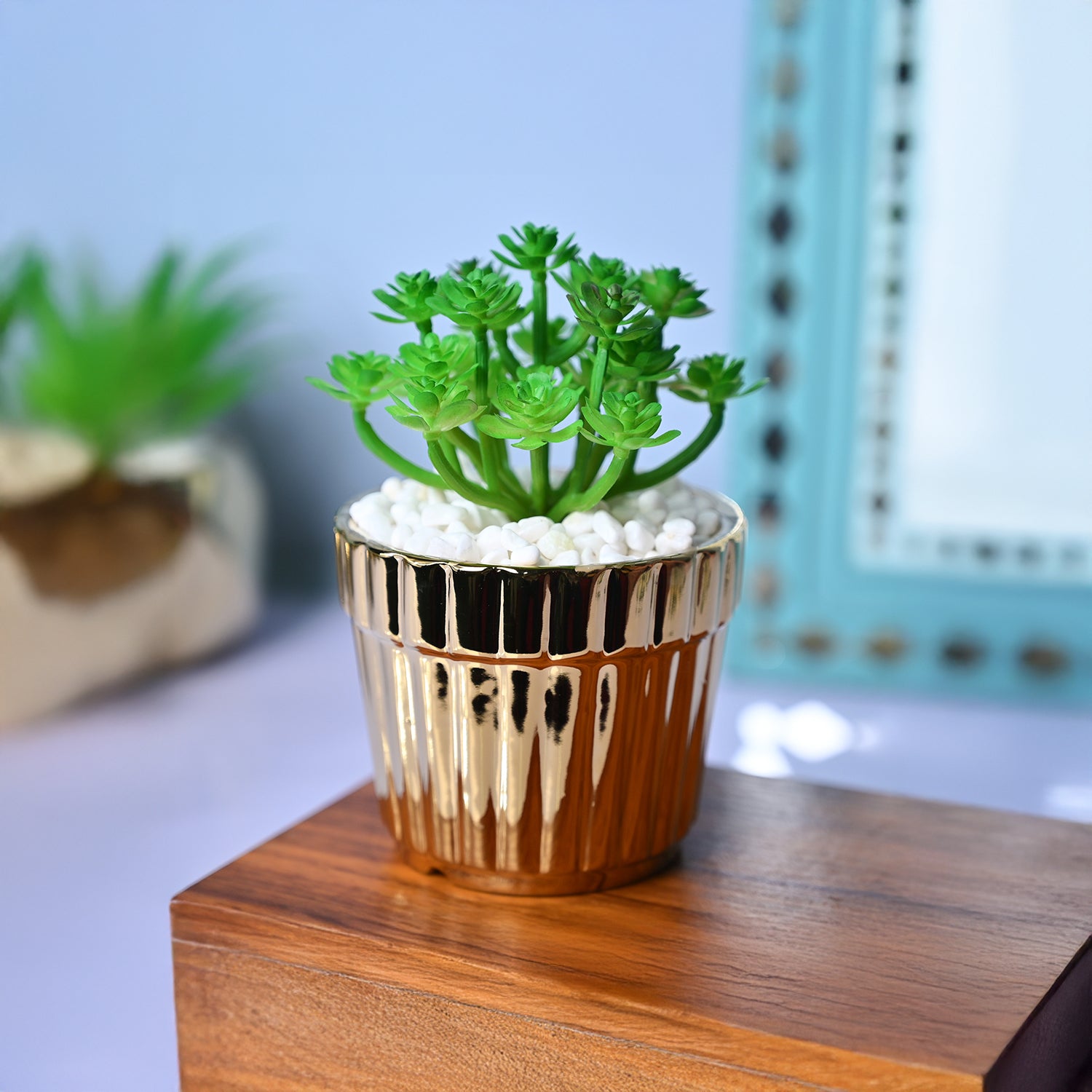 Golden Stripes - Artificial Plant with Glossy Ceramic Pot Market99   MARKET99