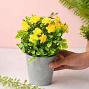 Artificial Plant With Pot – Green & Yellow