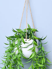 Green Hanging Planter - Cylindrical Shape - MARKET99