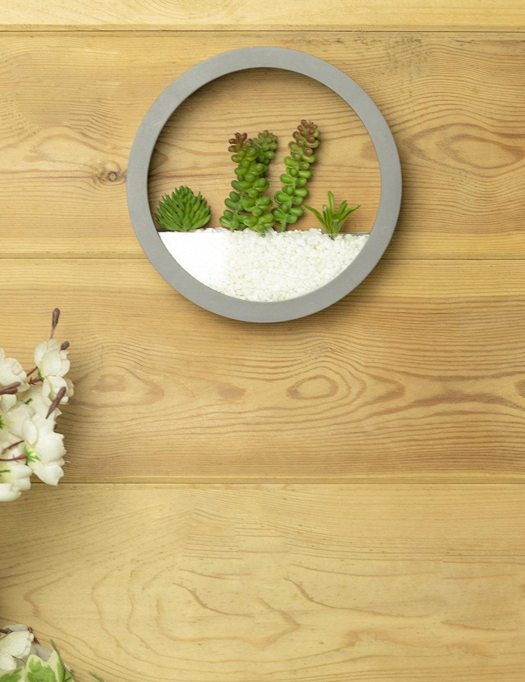 Elegant Round Transparent Wall Hanging Terrarium - MARKET 99