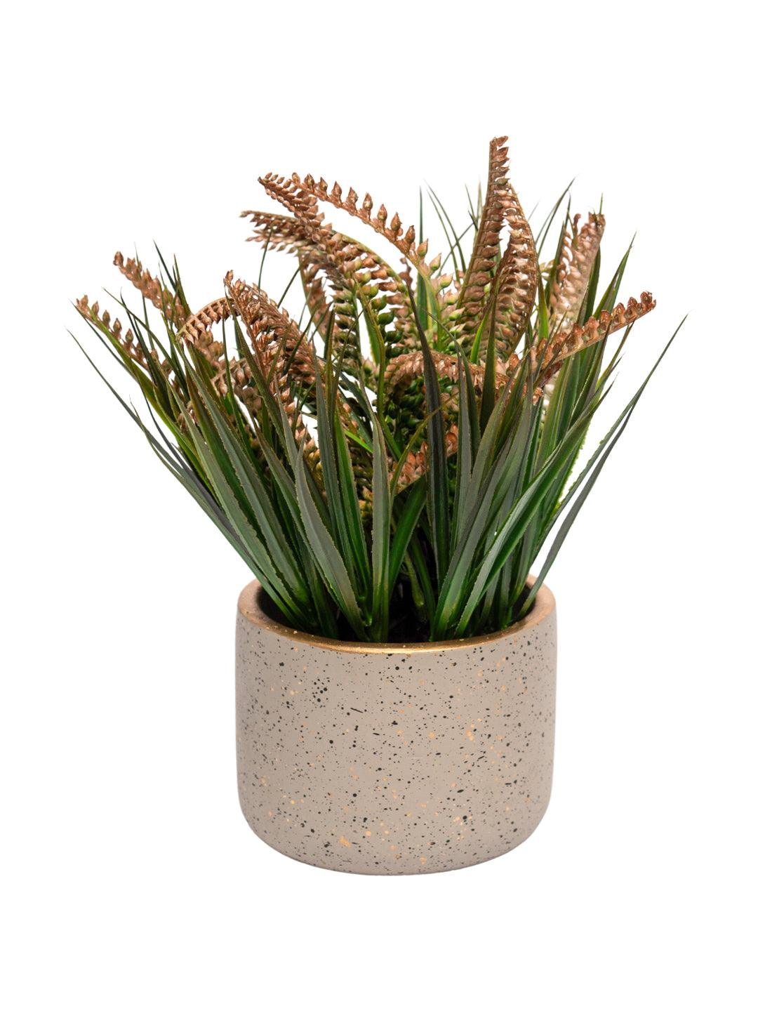 Grey Pot With Brown & Green Plant - MARKET 99