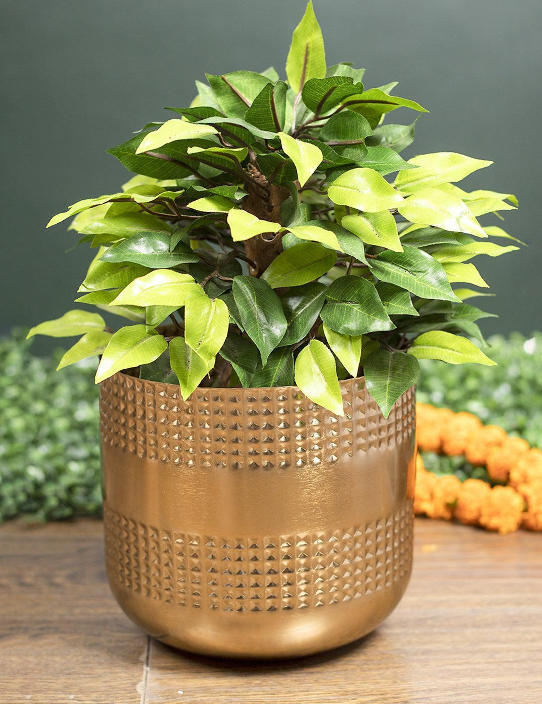 Diwali Decoration Item PLANTER