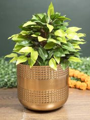 Diwali Decoration Item PLANTER