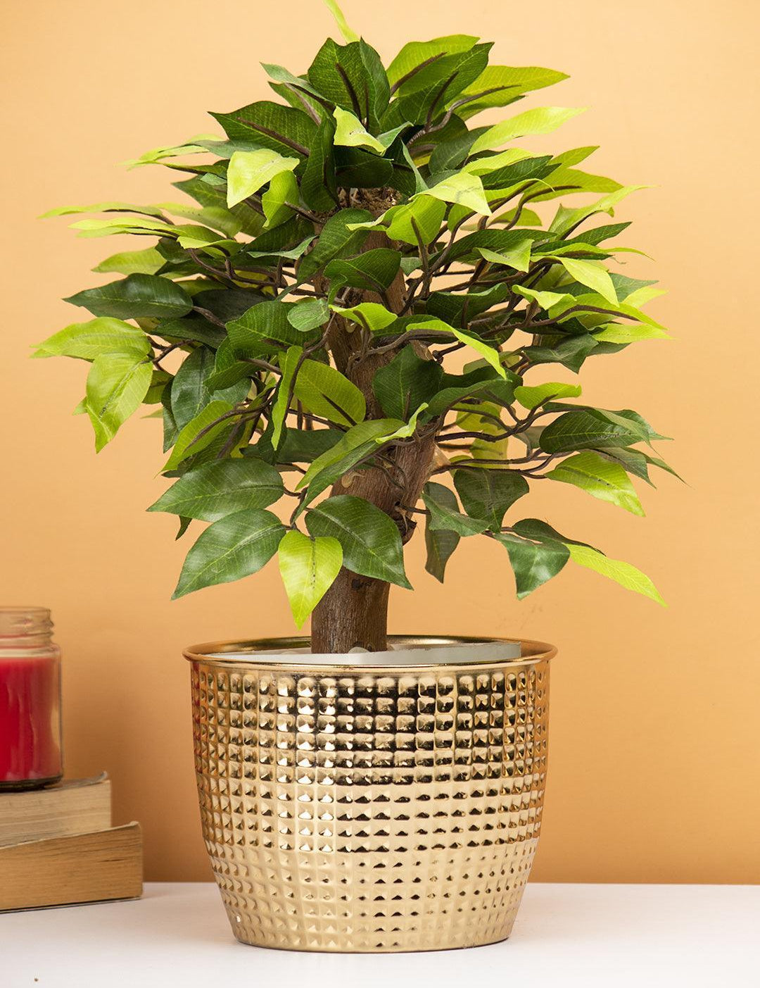 Diwali Decoration Item PLANTER