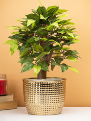 Diwali Decoration Item PLANTER