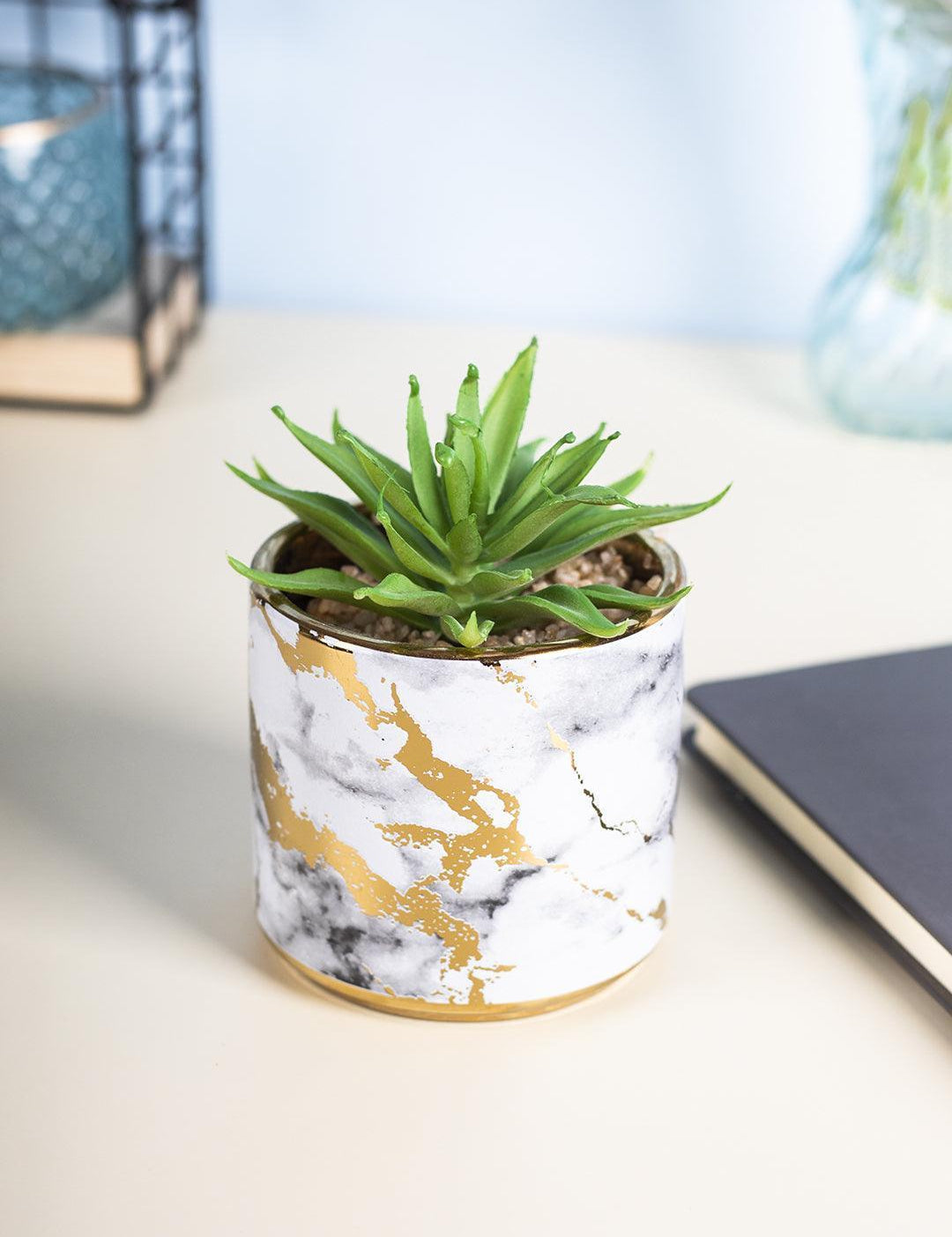 Market99 Fake Aloevera Desktop Planter - MARKET 99