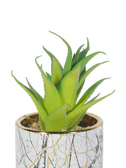 Market99 Fake Aloevera Desktop Planter - MARKET 99