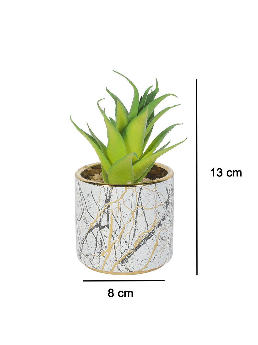 Market99 Fake Aloevera Desktop Planter - MARKET 99