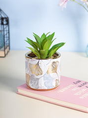 Market99 Fake Aloevera Desktop Planter - MARKET 99