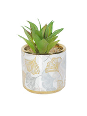 Market99 Fake Aloevera Desktop Planter - MARKET 99
