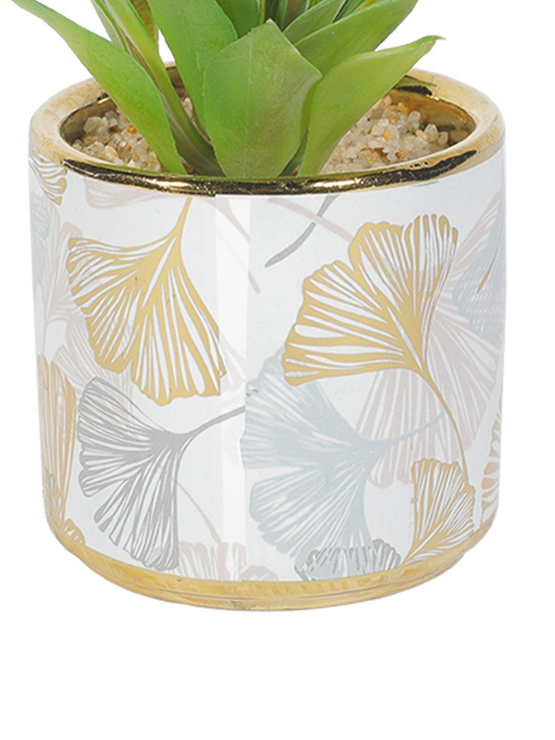 Market99 Fake Aloevera Desktop Planter - MARKET 99