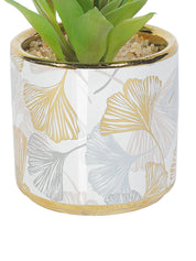 Market99 Fake Aloevera Desktop Planter - MARKET 99