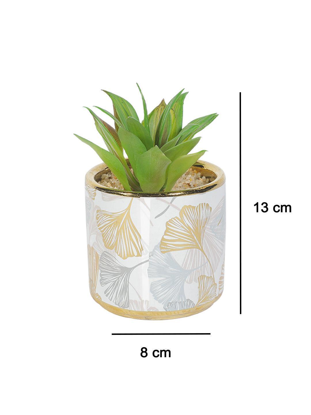 Market99 Fake Aloevera Desktop Planter - MARKET 99