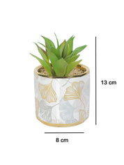 Market99 Fake Aloevera Desktop Planter - MARKET 99