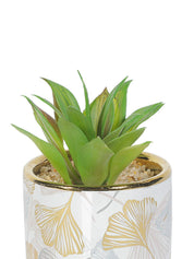 Market99 Fake Aloevera Desktop Planter - MARKET 99