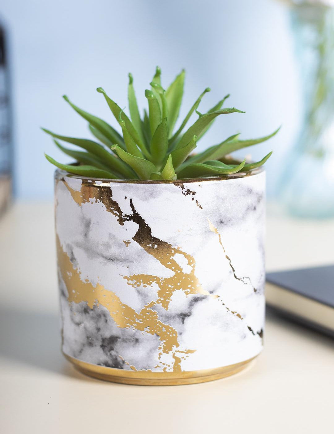 Market99 Fake Aloevera Desktop Planter - MARKET 99