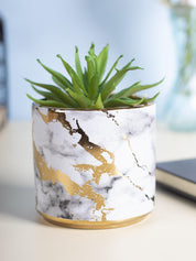 Market99 Fake Aloevera Desktop Planter - MARKET 99