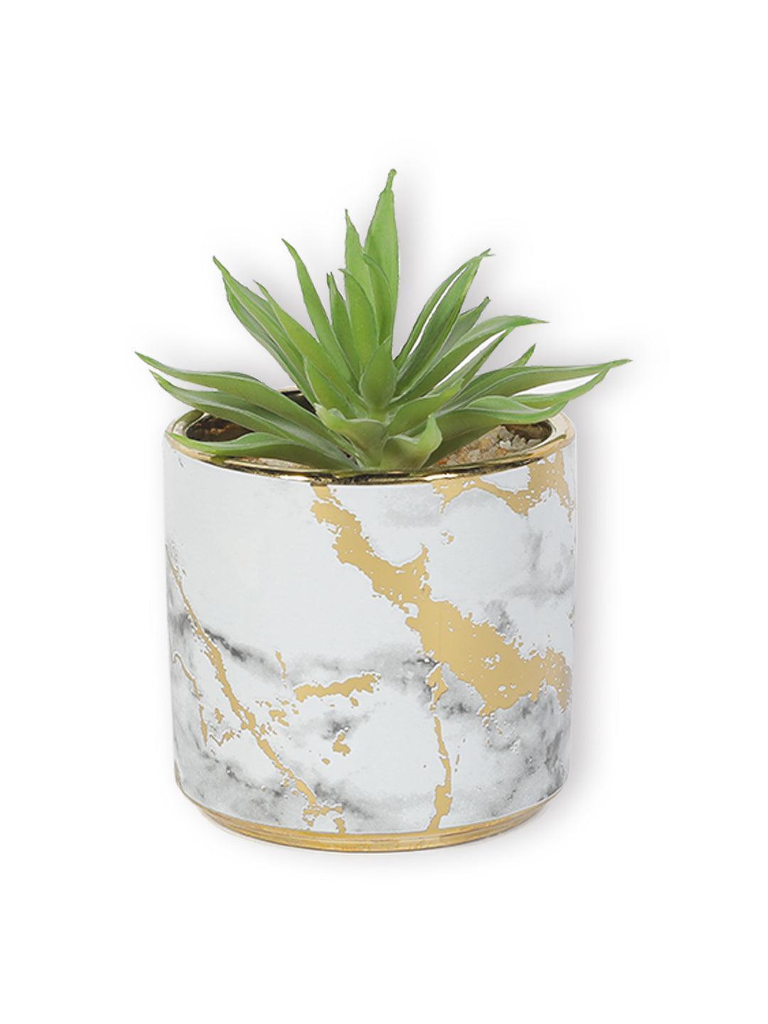 Market99 Fake Aloevera Desktop Planter - MARKET 99