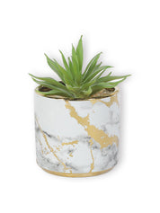 Market99 Fake Aloevera Desktop Planter - MARKET 99