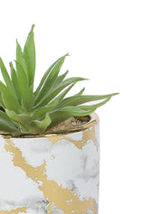 Market99 Fake Aloevera Desktop Planter - MARKET 99
