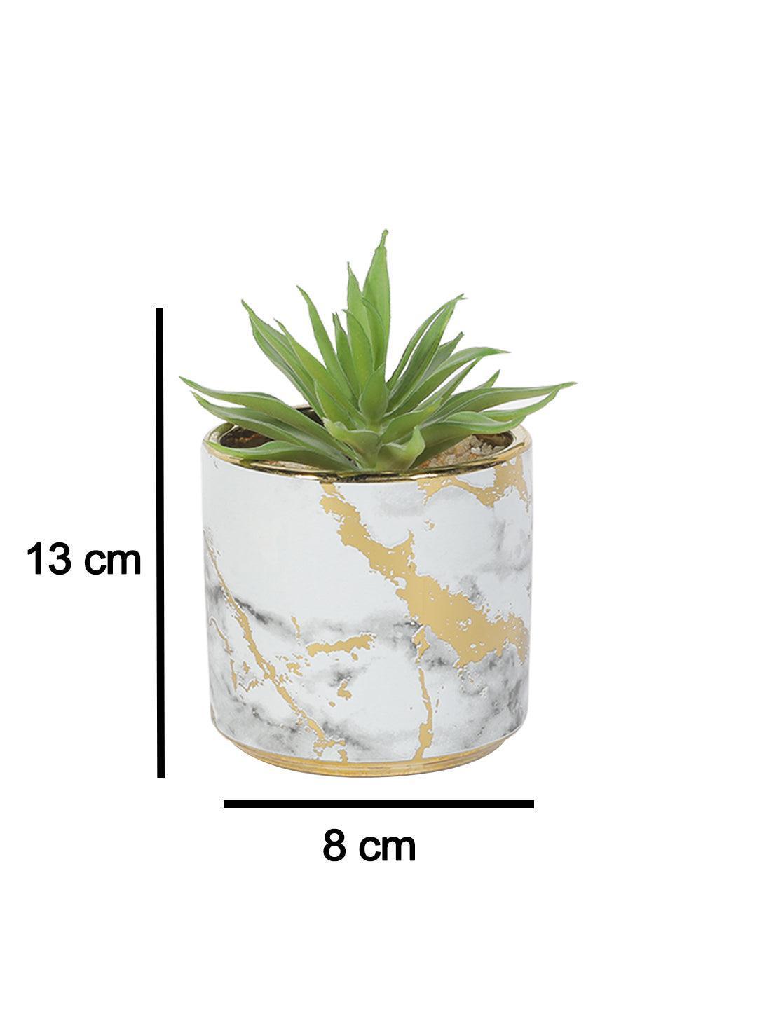 Market99 Fake Aloevera Desktop Planter - MARKET 99