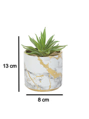 Market99 Fake Aloevera Desktop Planter - MARKET 99