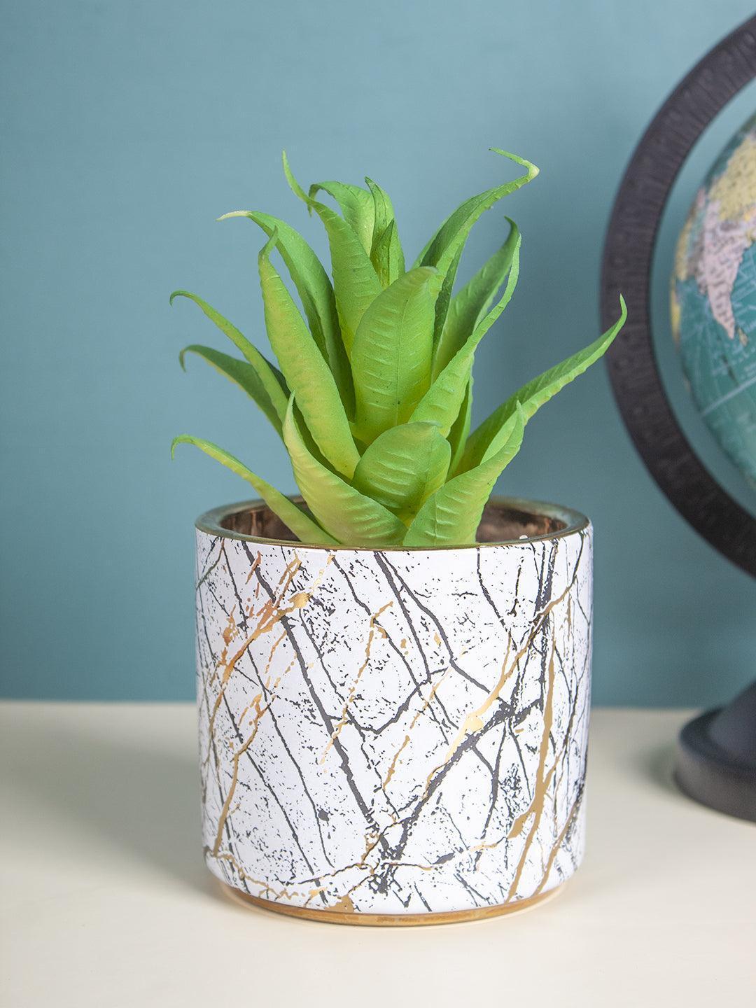 Market99 Fake Aloevera Desktop Planter - MARKET 99