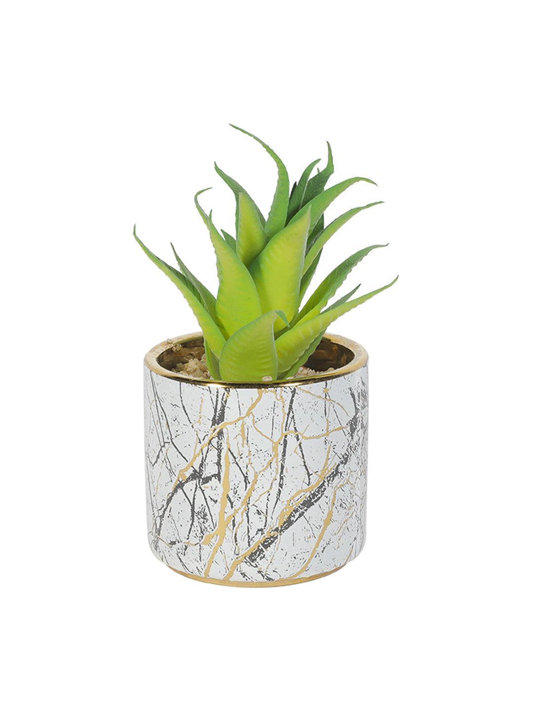 Market99 Fake Aloevera Desktop Planter - MARKET 99